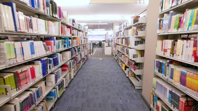 Library bookshelf university library books