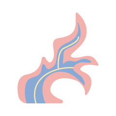 Vector seashell hand drawn