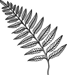 Fern line art vector illustration set isolated on white. Flower black ink sketch. Modern minimalist hand drawn design.