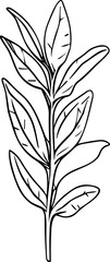 Meadow Herbs line art vector illustration set isolated on white. Flower black ink sketch. Modern minimalist hand drawn design.