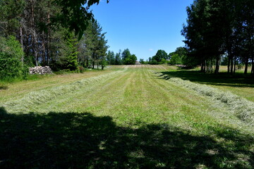 A view on a vast lush field covered with crops ready to be harvested and some grass, with vast forests, moors, and other pasturelands visible in the distance spotted on a sunny summer day in Poland