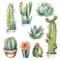 Cactus Watercolor Illustration.Succulent and Cacti Prints Elements