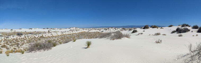 Fototapeta na wymiar White Sands National Park