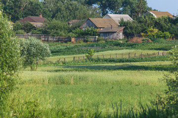 Flora And Fauna Of Reservoirs And Meadows