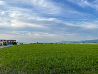 210630田んぼ今塚

山形市今塚
田んぼ
曇り
空