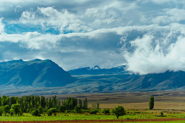 Fototapeta premium Beautiful mountain landscape in Kyrgyzstan in summer