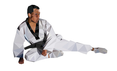 Taekwondo flying side kick black belt tournament