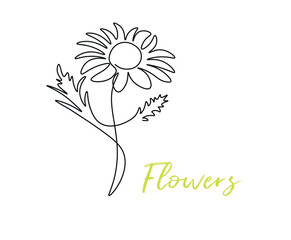 
Chrysanthemum flower outline, one line doodle style chamomile, butterfly on flower minimalism, floral mood.