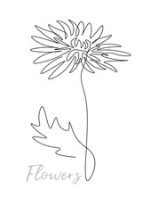 Chrysanthemum flower outline, one line doodle style chamomile, butterfly on flower minimalism, floral mood.