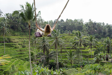 Young girl traveller swinging on beautiful rice field Tegallalang, Bali, Indonesia