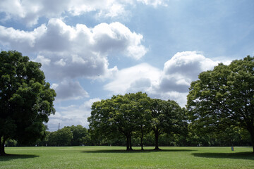 大泉緑地ポタリング