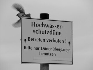 Möwe fliegt an Hinweisschild an Ostseeküste Glowe vorbei