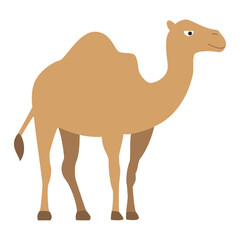 Isolated colored camel animal icon Vector