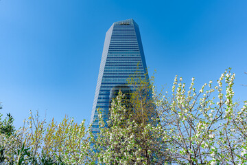 Madrid, torres o rascacielos de la ciudad de Madrid, desde el Paseo de la Castellana, Madrid, España.