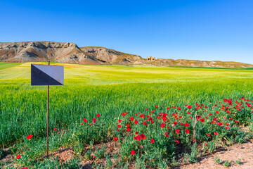 Paisaje de tierras de cultivo con señal de coto de caza, amapolas y montañas al fondo, un día soleado con cielo azul y nubes.
