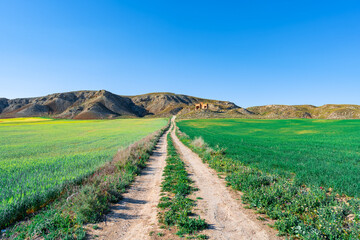 Fototapeta na wymiar Camino entre cultivos que lleva hacia las montañas con una construcción, un día soleado con cielo azul.