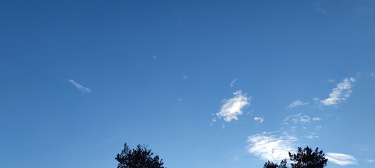Snow-white fluffy cloud. Above the tops of the trees, some of the branches of which are still without leaves, a small white cloud hangs against the blue sky. It has a weird shape.