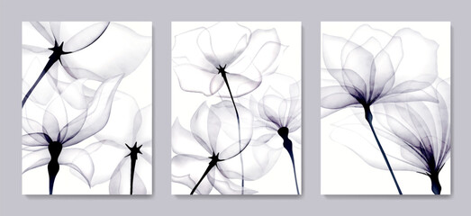 Luxury black and white art background with transparent flowers in a watercolor style. Hand drawn botanical floral set for decor, print, textile, interior design, poster.