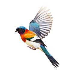 Fototapeta premium lilac roller isolated on transparent background cutout