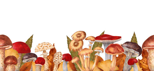 Border of edible mushrooms and leaves. Autumn mushrooms and leaves seamless pattern. Horizontal banner or frame for the design of the farmers market, packaging.Illustration markers and watercolors.