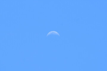 昼の月