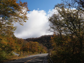 Mt Daisen, the marvelous scenery at Japan’s third national park