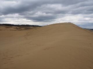 Fototapeta na wymiar the Tottori Sand Dunes, wedged along the coast of Japan’s sparsely populated San’in region, the country’s very own slice of desert