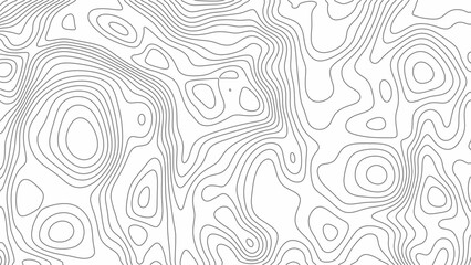 Fractal lines background. Topographic map like abstract backdrop