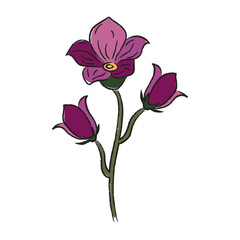Isolated colored realistic flower sketch Vector