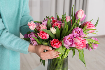 Woman putting bouquet of beautiful tulips in vase indoors, closeup