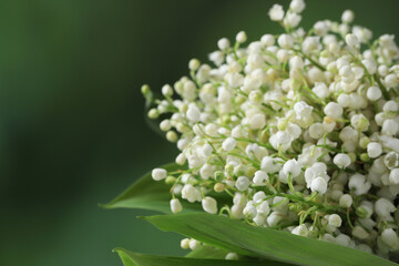 Beautiful lily of the valley flowers on blurred green background, closeup. Space for text