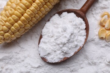 White corn starch, ripe cob and kernels on powder, top view