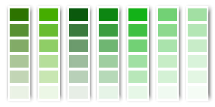 Green color palette. Green pastel tone texture. Vector illustration. stock image.