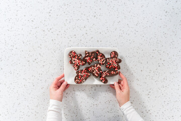 Christmas cookie-cutter peppermint fudge