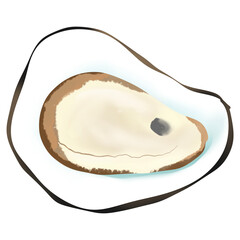 Oyster