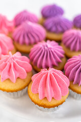 Mini Vanilla Cupcakes with Pink Buttercream Frosting