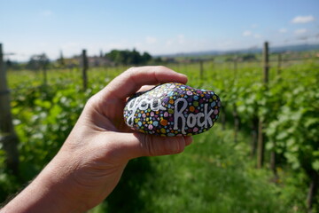 Kindness rock with painted you rock message held in hand with blurred wine vineyard in background