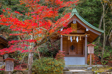 Fukuoka, Japan - Nov 30 2022: Homangu Kamado shrine located at Mt. Homan, venerated from ancient...