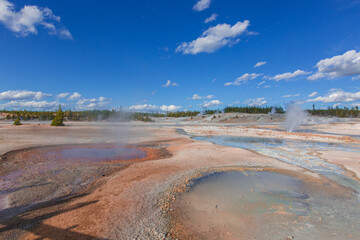 Hot Spring in Yellowstone National Park 