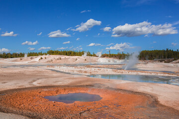 Hot Spring in Yellowstone National Park 
