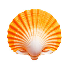 Orange seashell, isolated, transparent background.
Generative AI image.
