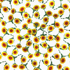 background with sunflowers on canva background watercolor flower,flowers
