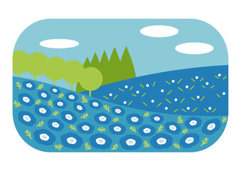 ネモフィラ畑のイラスト