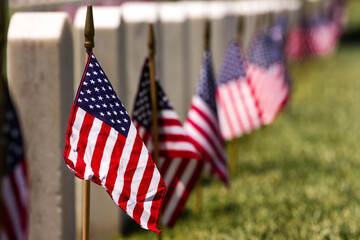 Arlington National Cemetery, Washington D.C.