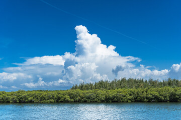 blue sky and clouds on the beach
