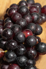 Black grapes on texture background