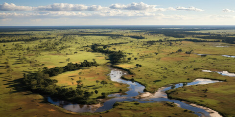 Naklejka premium Pantanal with cotton and corn cultivation areas, landscape full of rivers and exotic fauna. Generative AI.
