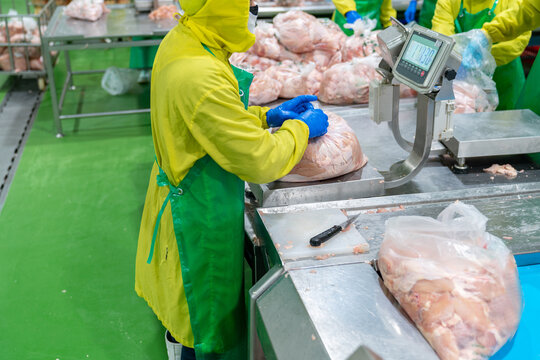 Worker weighing chicken part on scale.