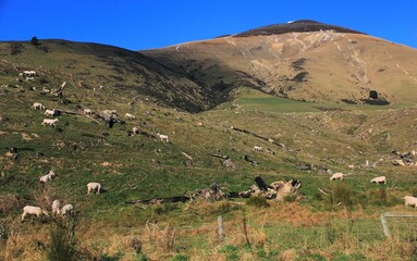 Breathtaking winter landscape during roadtrip from Queentown to Te Anau, New Zealand.