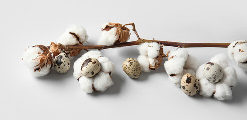 Cotton branch with raw quail eggs on light background